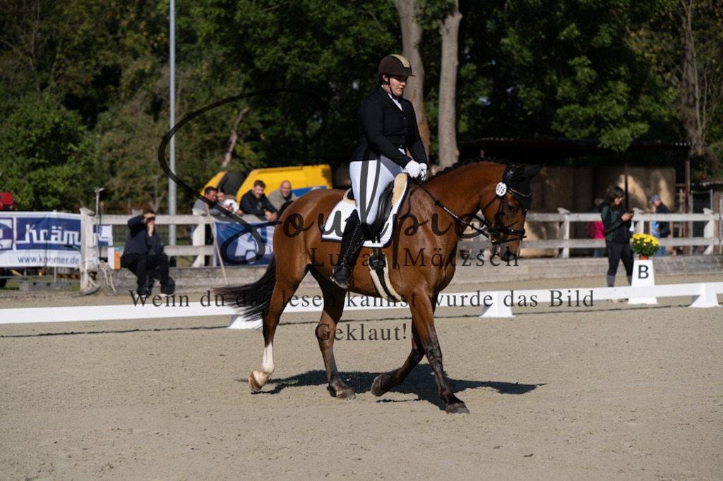A7V06905 | Turnier/Reitfotograf