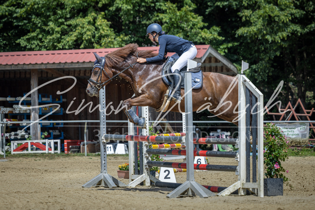 20260704-_3LI0107 | Tierfotografie Pferde, Hunde, Katzen, Haustiere.
Turnierfotografie Reitturniere, Reiten, Springreiten, Dressur in Hanau, dem Main-Kinzig-Kreis und dem Rhein-Main- Gebiet um Frankfurt