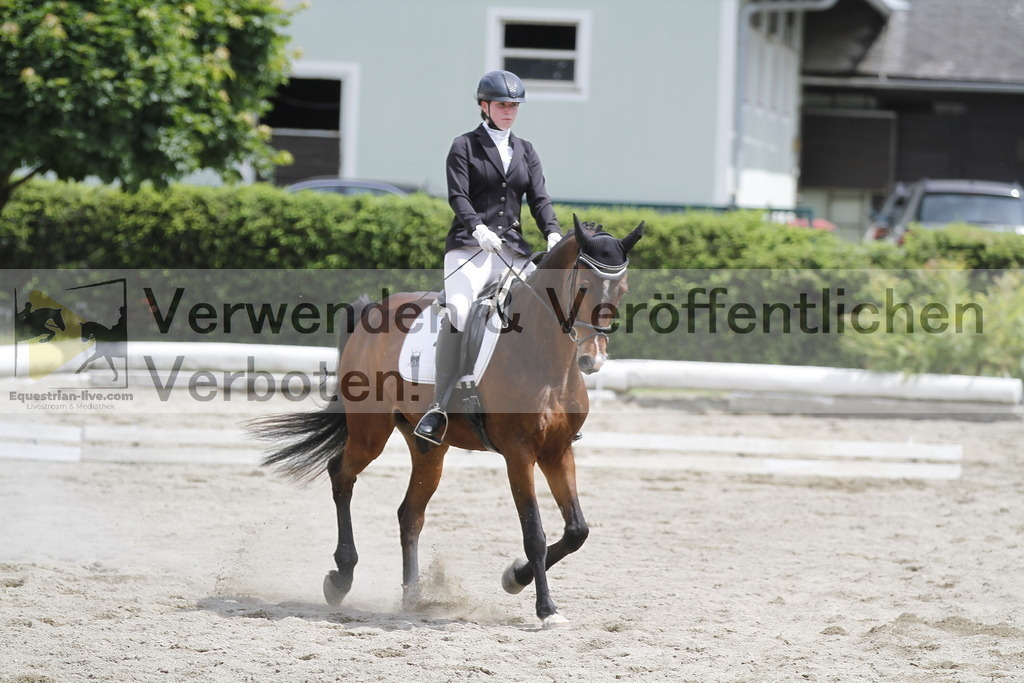 _MG_8960 | equestrian-live-com