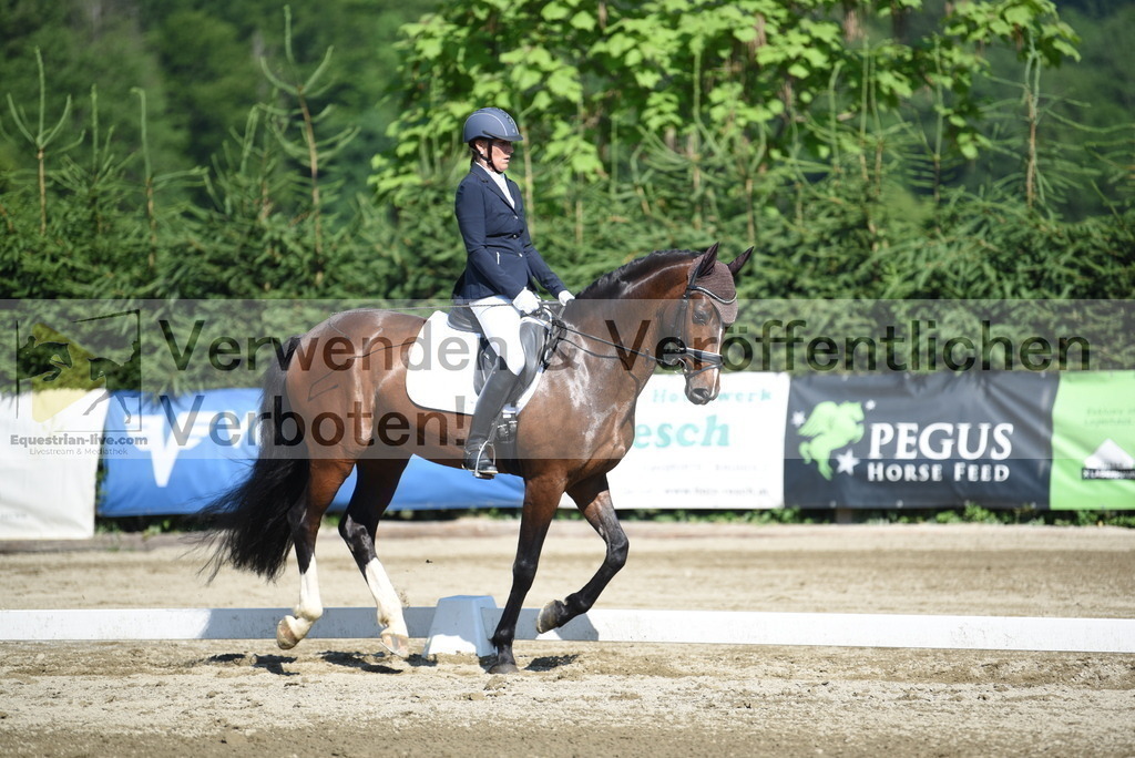 DSC_7790 | equestrian-live-com