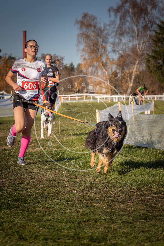 CaniXpix_0L8A8592 | Hundefotografie, Tierfotograf, Pfotenfotografie, Fotoshooting Hund, Hunde Portrait, Hundesport, Hundeportraits, Heideshooting, Hunde, Sportfotograf, Hundefotograf, Turnierhundsport, THS,  - Realisiert mit Pictrs.com