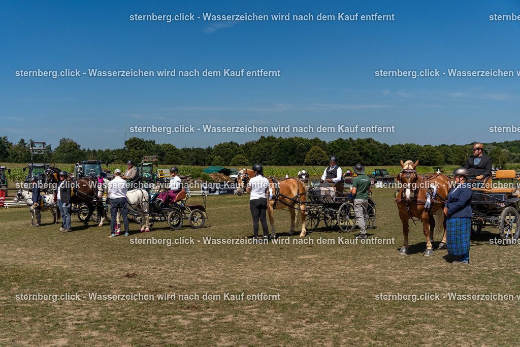 2026-08-09_13-02-45_WBO_Pulsnitz | sternberg.click - Realisiert mit Pictrs.com