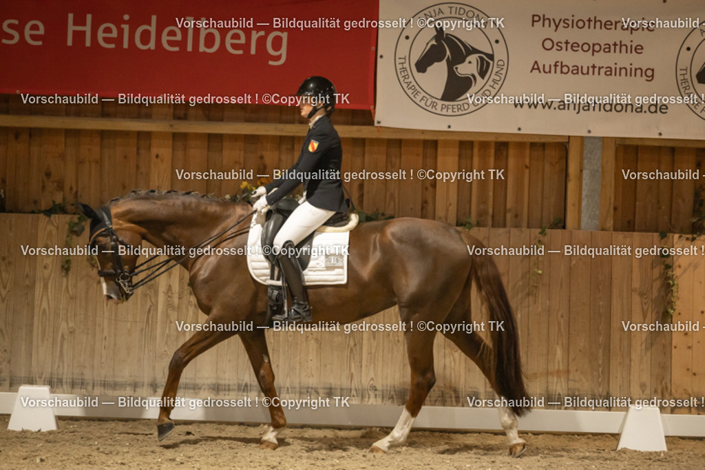 _D5A4001 | Emotionale Pferde- & People-Fotografie rund um Heidelberg, Leimen & Umgebung. Natürliche Fotos von Pferd, Mensch & Familie. Jetzt Termin sichern!