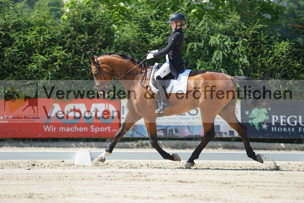 DSC02246 | equestrian-live-com