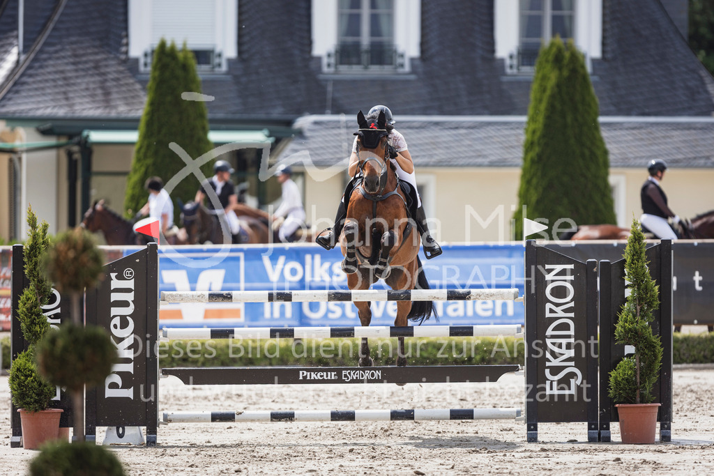 250531_MayDays_M2-SpringenmstAnf-803 | Deine schönsten Turniermomente als professionelle Fotos! Entdecke hochwertige Pferdesport-Fotografie im Online-Shop. Jetzt Fotos finden & bestellen!