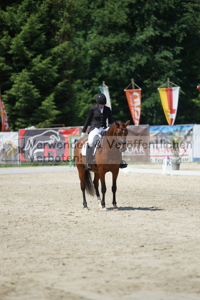 DSC01672 | equestrian-live-com