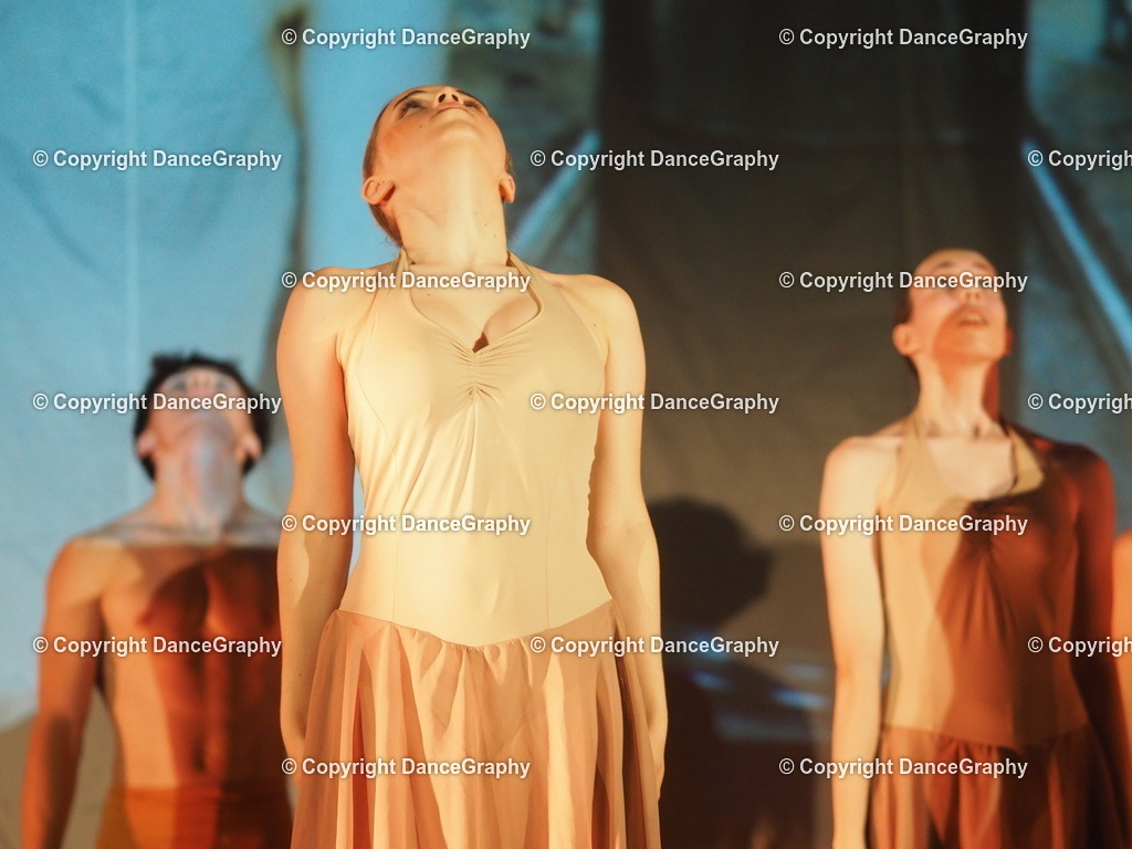 P6280219 | DanceGraphy - Realisiert mit Pictrs.com