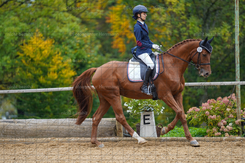 20221008-FAH01929 | Diessen am Ammersee, 2022, Dressur- und Springturnier, Reitsportbilder, Turnierfotografen Bayern, Pferdefotografen, Fotoagentur Herrmann, Turnierbilder