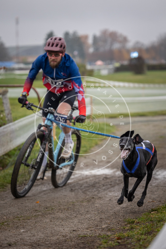 CaniXpix_0L8A1252 | Hundefotografie, Tierfotograf, Pfotenfotografie, Fotoshooting Hund, Hunde Portrait, Hundesport, Hundeportraits, Heideshooting, Hunde, Sportfotograf, Hundefotograf, Turnierhundsport, THS,  - Realisiert mit Pictrs.com