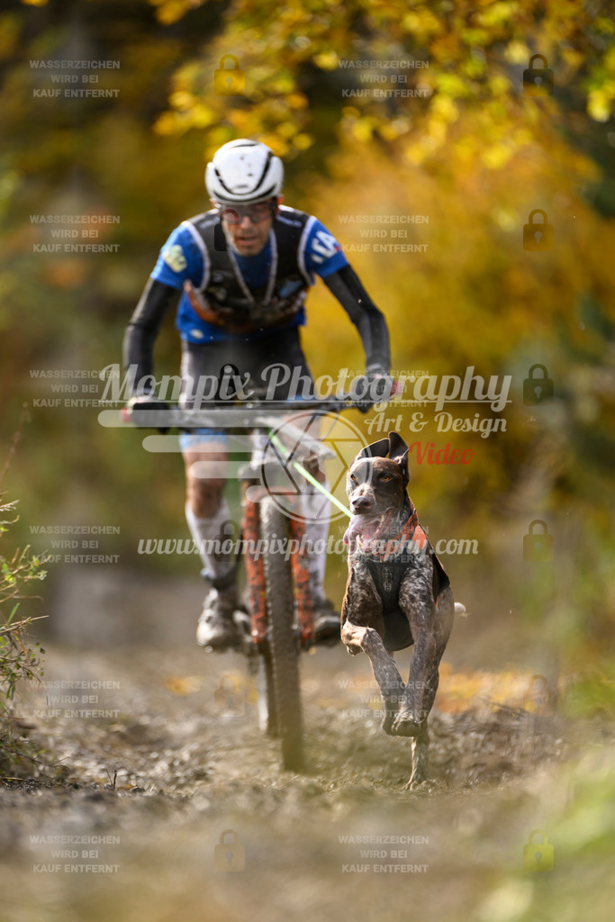 MompixPhotography_ICF_WC_2024_SA_Bike_-295 | PayLife