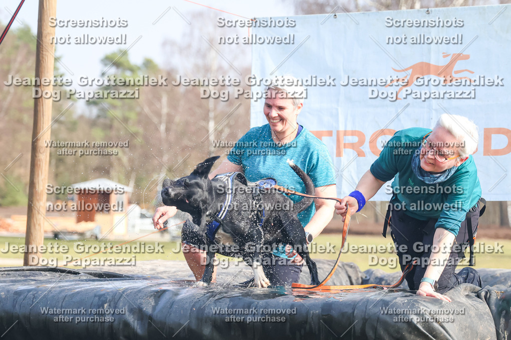 Dog Paparazzi - Strongdog North Mrz26-2224 | Dog Paparazzi Jeanette Grottendiek Fotografie & Videografie - Realisiert mit Pictrs.com