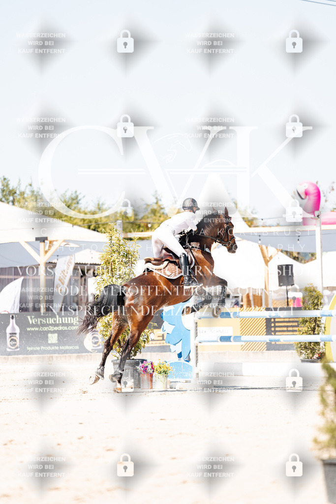 CK909495 | Turnierfotografie Pferdefotografie Trier Rheinland-Pfalz Pferdesport Reitsport Tierfotografie Sportfotografie Pferdevideo Pferdevideografie Equestrianvideography equestrianphotography  - Realisiert mit Pictrs.com