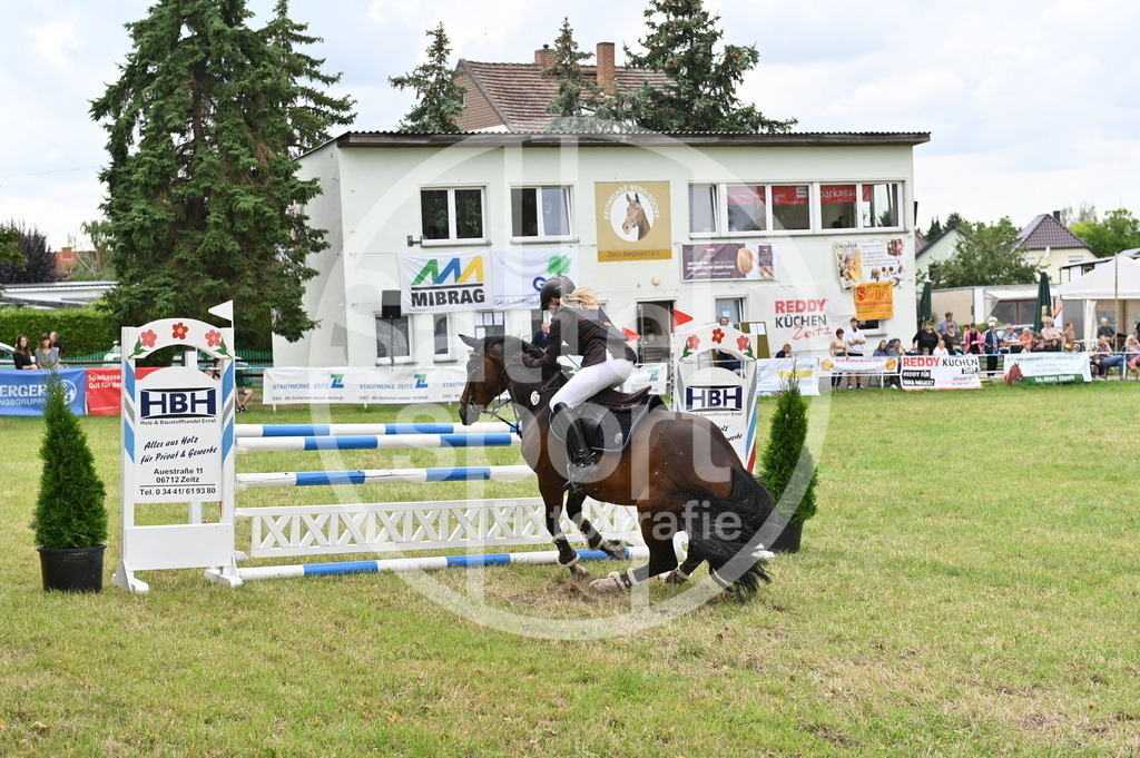 DSC_3267 | sattelsport - Realisiert mit Pictrs.com