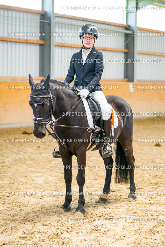 DSC01468 | Pferdegrafie