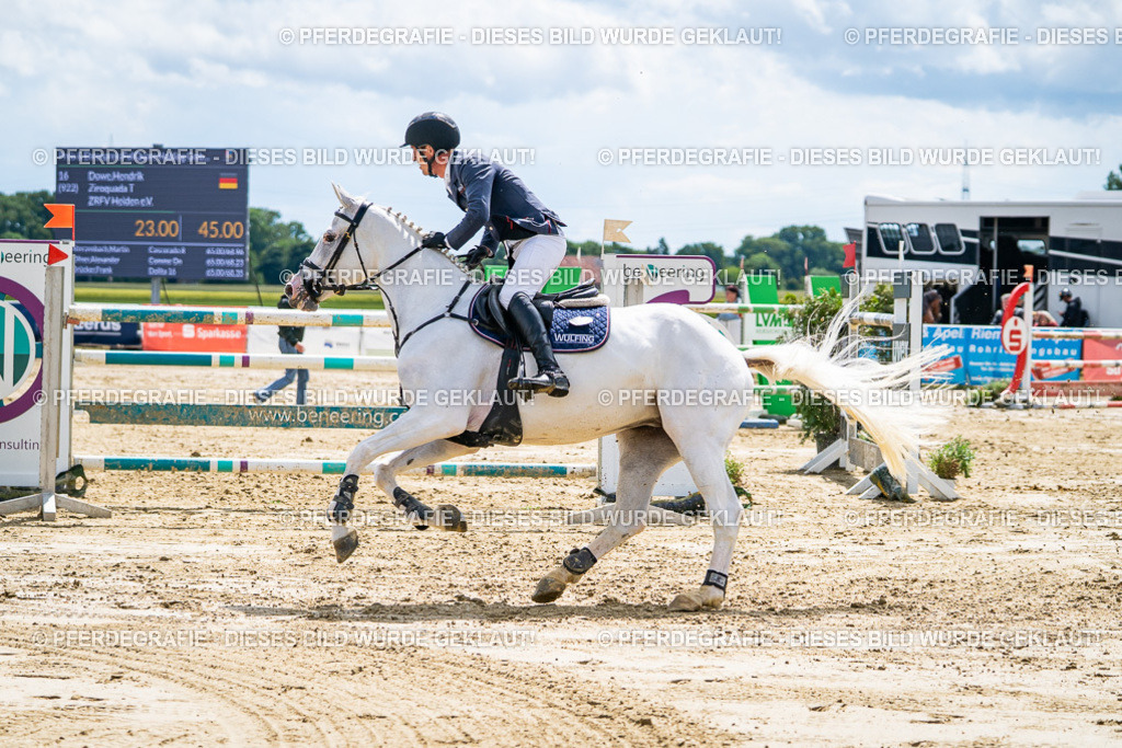 DSC05645 | Pferdegrafie