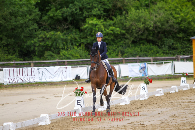 DKP47592 | Turniersportfotografie; Pferdefotografie; Dressurfotografie