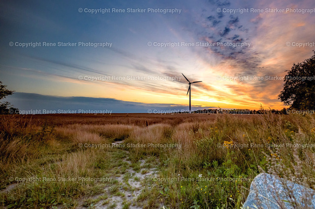 NZ6_6907 | Hochzeiten, Familien, Paare, Portraits, Kinder, Shooting, Bad-Neuenahr, Ahrweiler, Bonn, Meckenheim, Fotograf, Grafschaft - Realisiert mit Pictrs.com