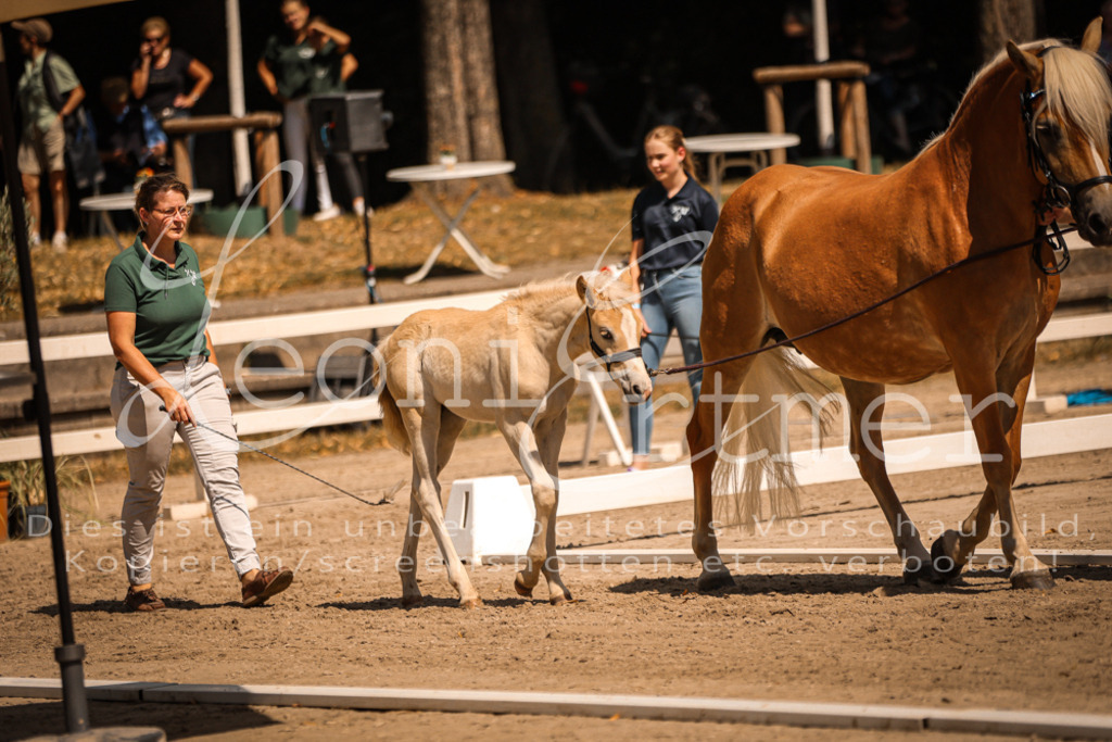 06.DoH00132 | Leoni Ertmer Photography - Realisiert mit Pictrs.com