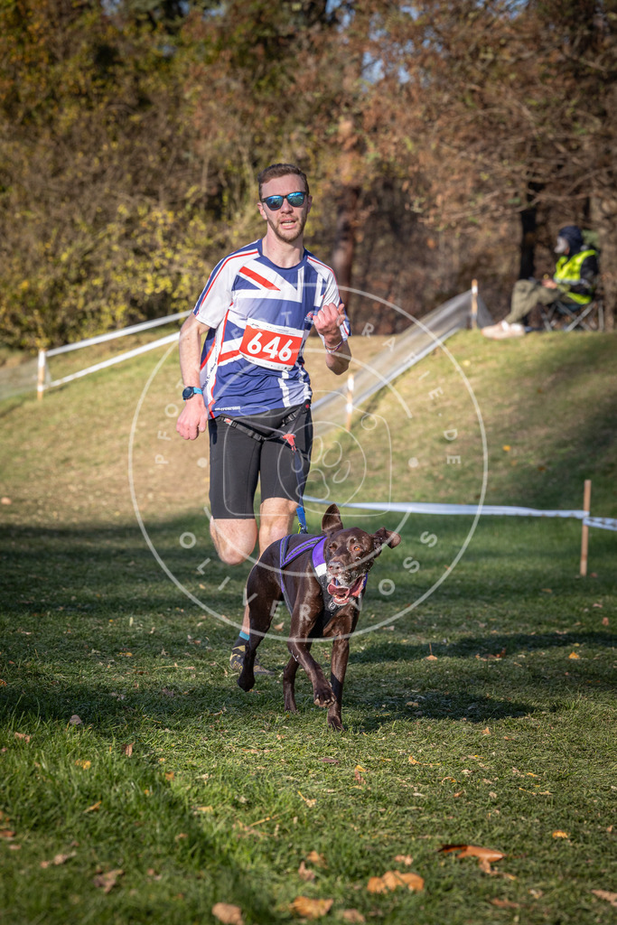 CaniXpix_0L8A9070 | Hundefotografie, Tierfotograf, Pfotenfotografie, Fotoshooting Hund, Hunde Portrait, Hundesport, Hundeportraits, Heideshooting, Hunde, Sportfotograf, Hundefotograf, Turnierhundsport, THS,  - Realisiert mit Pictrs.com