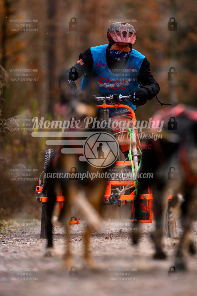 MompixPhotography_DM_AKDM_SO_2025_Wagen-18 | PayLife