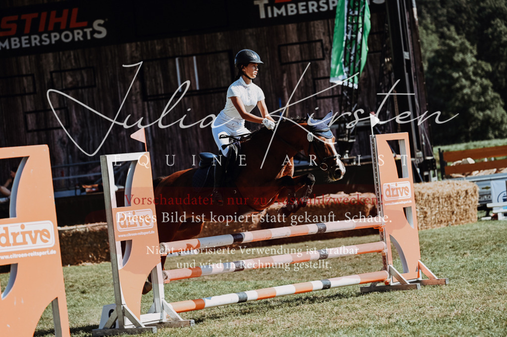 DSC_6700 | Pferde- und Turnierfotografie in Westsachsen. Pferdeportraits, Auftragszeichnungen und intuitive Kunst.