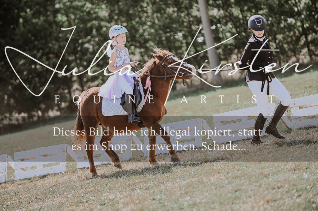 DSC_9052 | Pferde- und Turnierfotografie in Westsachsen. Pferdeportraits, Auftragszeichnungen und intuitive Kunst.