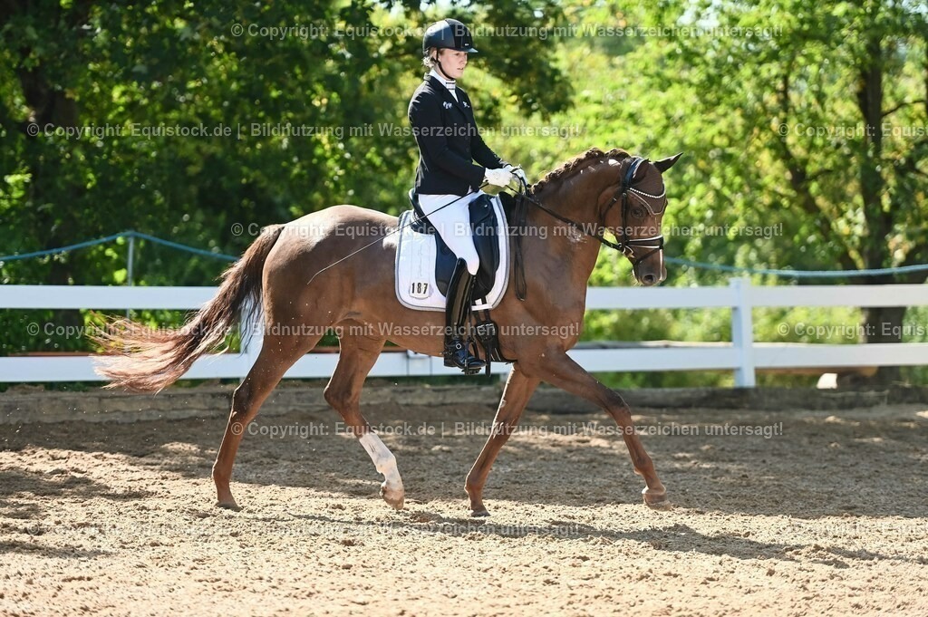 20230715_06_Dressurpferdeprfg. Kl.A_0425 | equistock