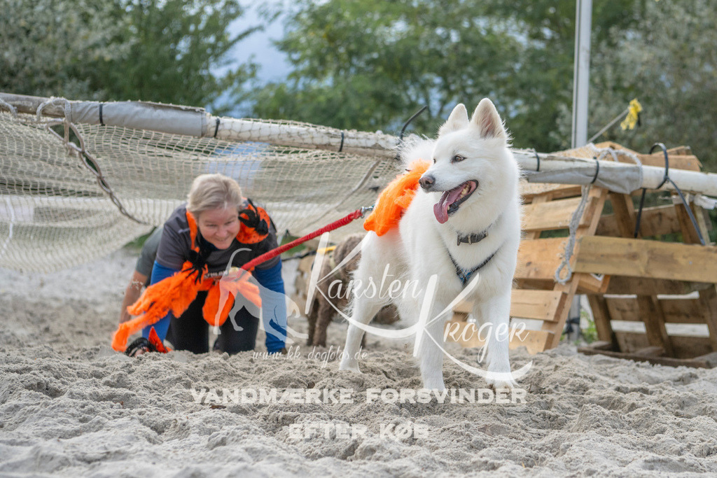 1133_ZZ97666 | kk-dogfotos