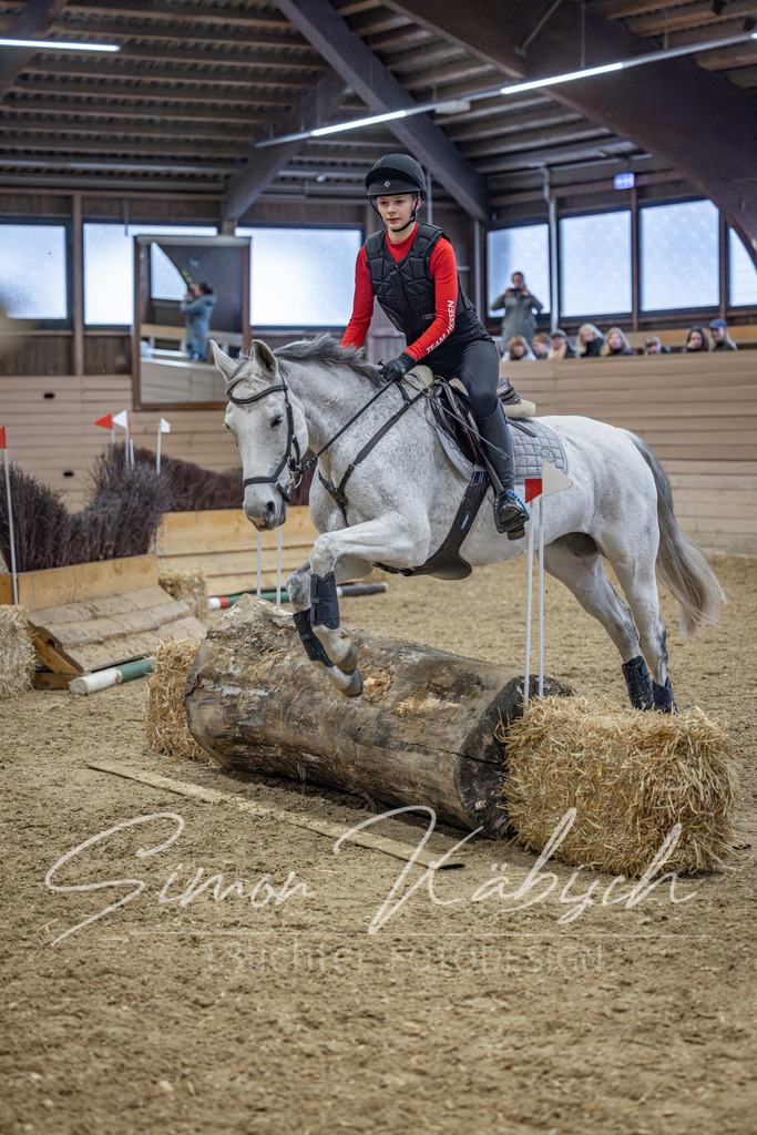 20260221-_3LI9665 | Tierfotografie Pferde, Hunde, Katzen, Haustiere.
Turnierfotografie Reitturniere, Reiten, Springreiten, Dressur in Hanau, dem Main-Kinzig-Kreis und dem Rhein-Main- Gebiet um Frankfurt