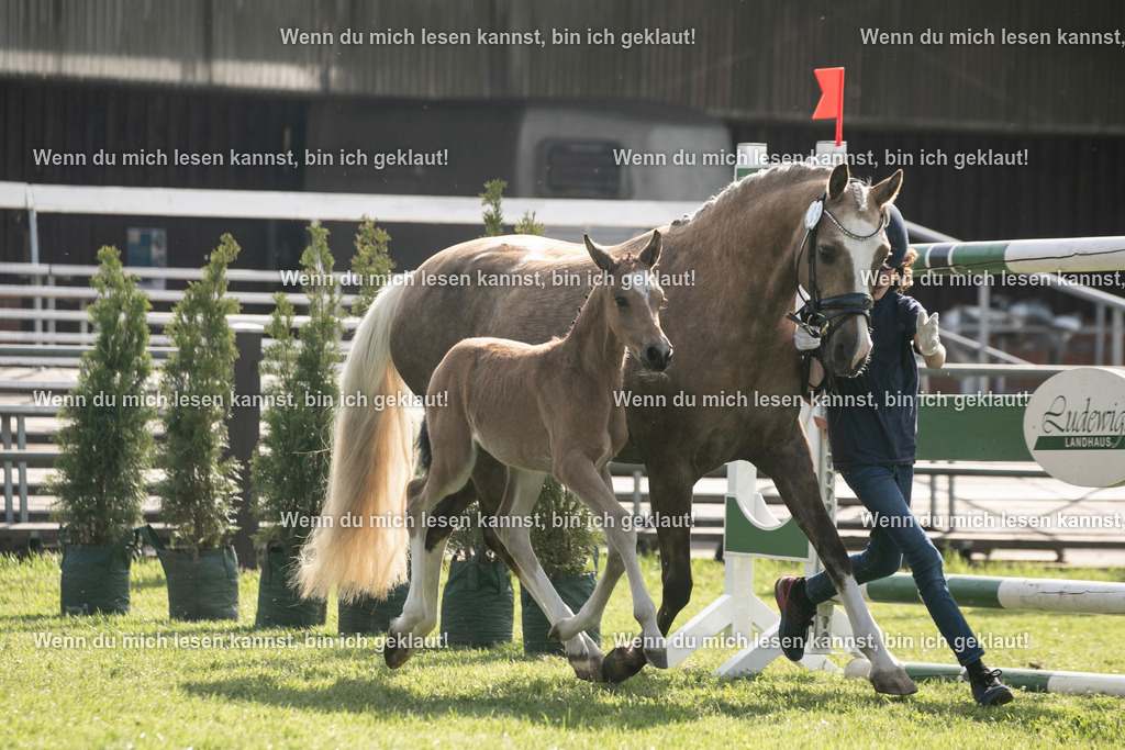 598A6976 | photographylinaismer - Realisiert mit Pictrs.com