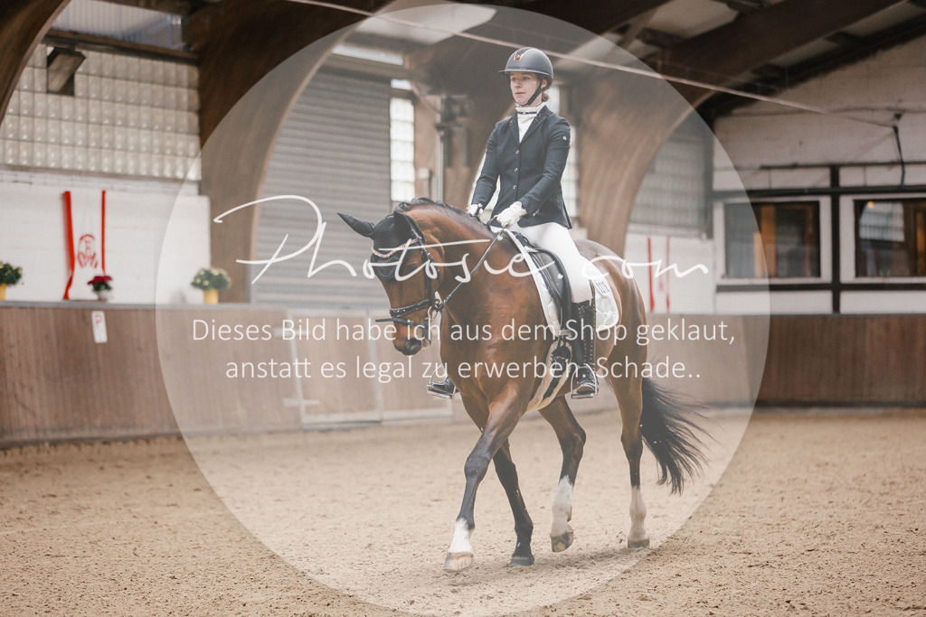 3I6A6593 | Stimmungsvolle Portraits und Reitsportfotografie im Ruhrgebiet und im Münsterland.

Pferdefotografie, Hundefotografie, Tierfotografie, Reportagen, Portraits von Tier und Mensch, Turnierfotografie in Bochum, Recklinghausen, Marl, Haltern am See, Dülmen.. - Realisiert mit Pictrs.com