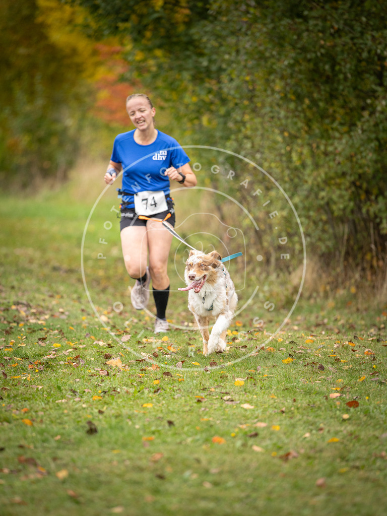 Pfotenfotografie_DV3A2901 | Hundefotografie, Tierfotograf, Pfotenfotografie, Fotoshooting Hund, Hunde Portrait, Hundesport, Hundeportraits, Heideshooting, Hunde, Sportfotograf, Hundefotograf, Turnierhundsport, THS,  - Realisiert mit Pictrs.com