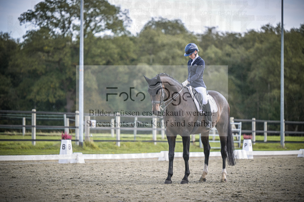 DOS_0176 | Entdecke hochwertige Reitturnierfotos von Foto Oger. Professionell, emotional und authentisch – jetzt Lieblingsmomente im Shop bestellen.Deutschlandweite Turnierfotografie. - Realisiert mit Pictrs.com