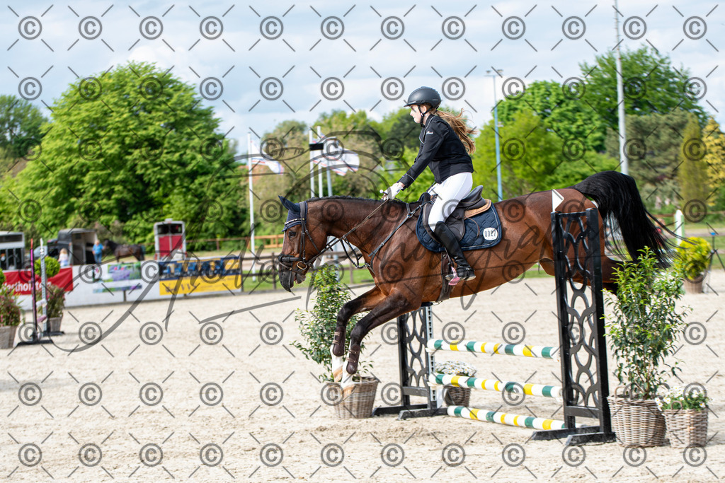 KPT_6586 | andre_photographic