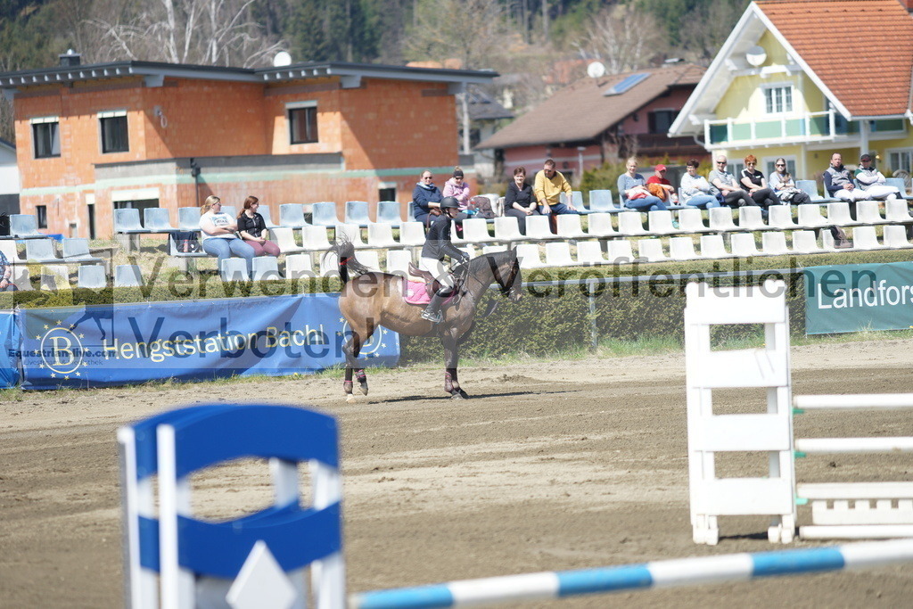 DSC02867 | equestrian-live-com