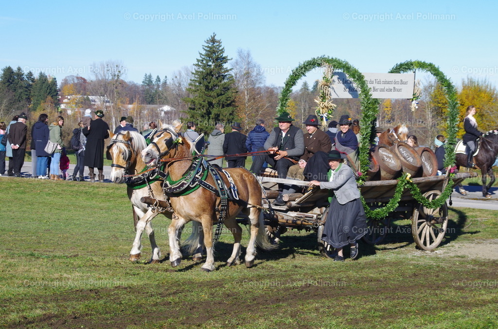 IMGP7659 | fotografiert von Axel PollmannLeonhardi Wallfahrt Benediktbeuern und Murnau, Fronleichnam, Fasching, Landschaft im Loisachtal und Benediktbeuern  - Realisiert mit Pictrs.com