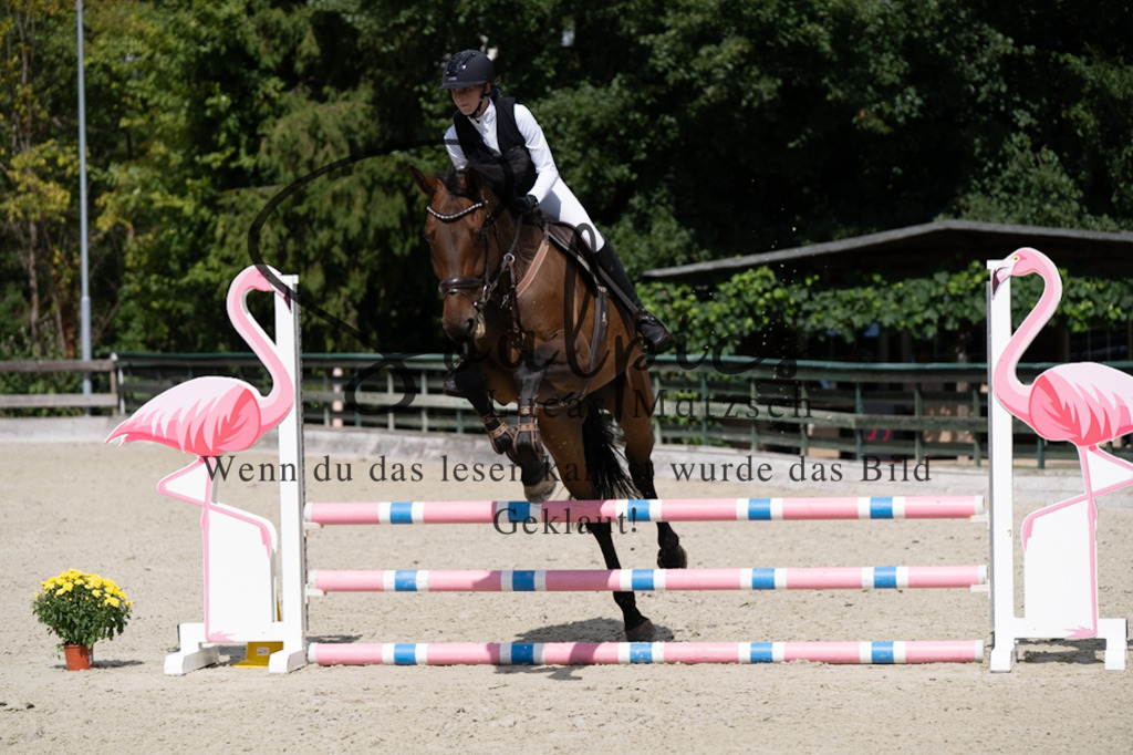 A7V07408 | Turnier/Reitfotograf