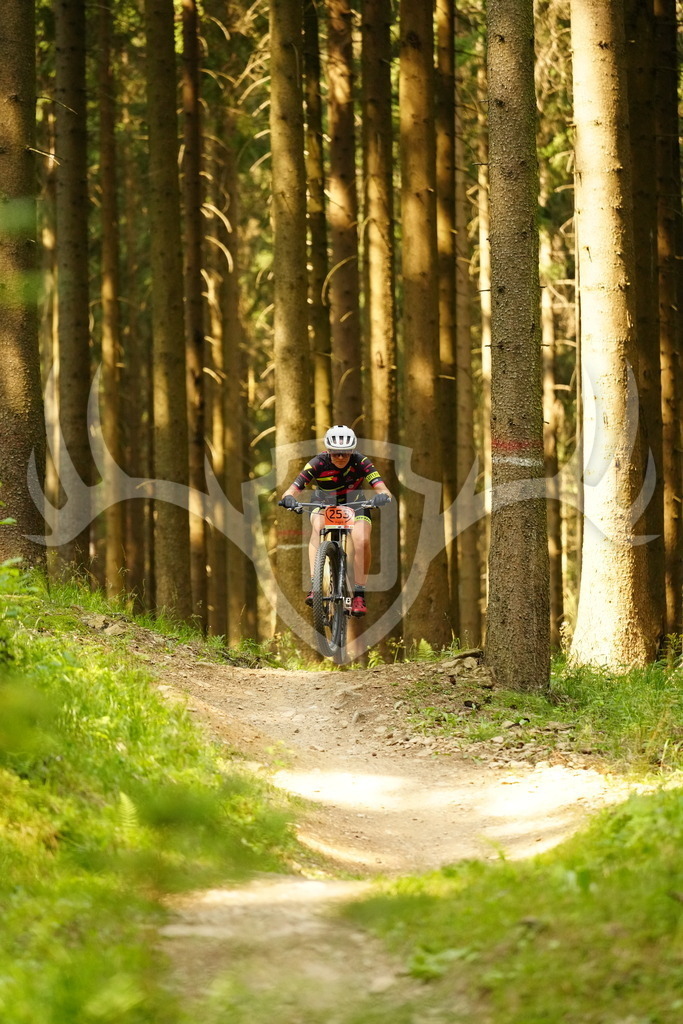 FC103119 | Fotogalerie der Treibjagd im Dunkelwald - Dein MTB Etappenrennen im Erzgebirge - Realisiert mit Pictrs.com