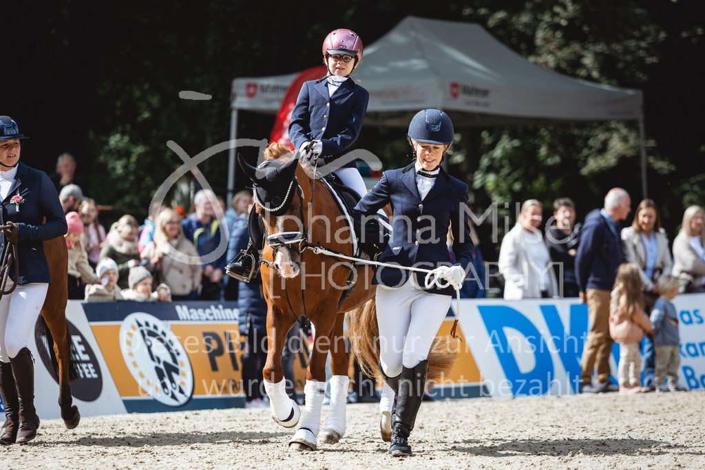 240915_OWLCh_FuehrzuegelWB-640 | Deine schönsten Turniermomente als professionelle Fotos! Entdecke hochwertige Pferdesport-Fotografie im Online-Shop. Jetzt Fotos finden & bestellen!