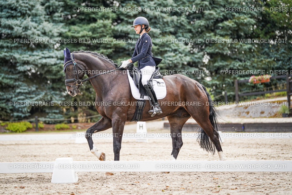 DSC01495 | Pferdegrafie