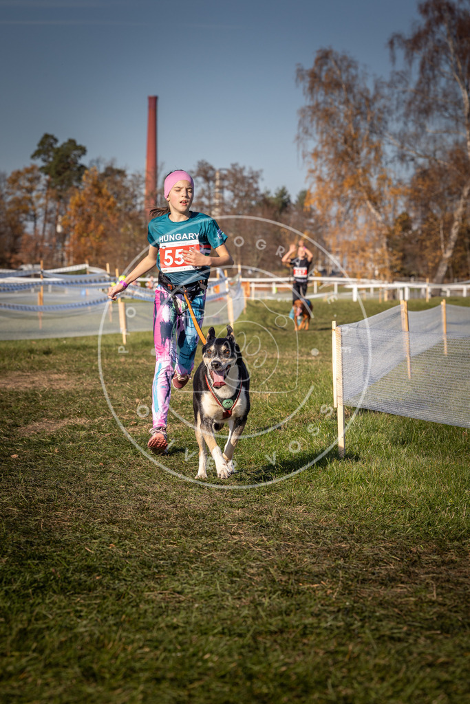 CaniXpix_0L8A7795 | Hundefotografie, Tierfotograf, Pfotenfotografie, Fotoshooting Hund, Hunde Portrait, Hundesport, Hundeportraits, Heideshooting, Hunde, Sportfotograf, Hundefotograf, Turnierhundsport, THS,  - Realisiert mit Pictrs.com