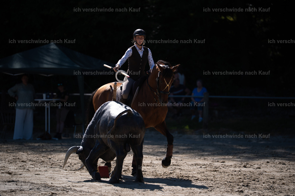 WL_SP_106_Stoibphotography_SO15906 | working equitationturnier fotograf videograf stoibphotography marixx film working equitation deutschland reitsport turnierfotografie eventfotografie equestrian events