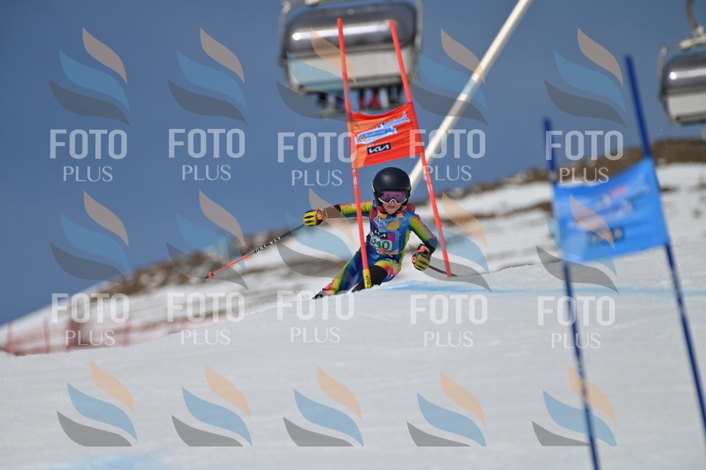 BGV_6734 | holidayphoto