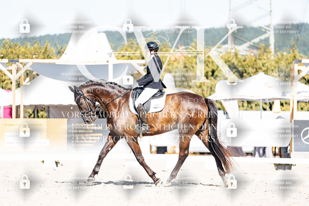 CK908558 | Turnierfotografie Pferdefotografie Trier Rheinland-Pfalz Pferdesport Reitsport Tierfotografie Sportfotografie Pferdevideo Pferdevideografie Equestrianvideography equestrianphotography  - Realisiert mit Pictrs.com