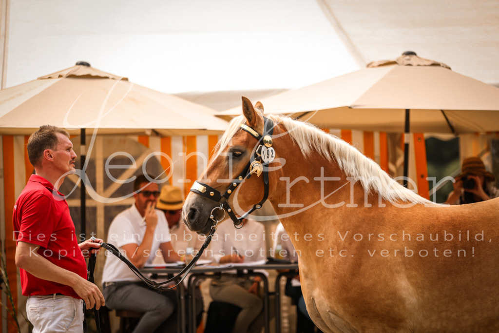 4.Sa00005 | Leoni Ertmer Photography - Realisiert mit Pictrs.com