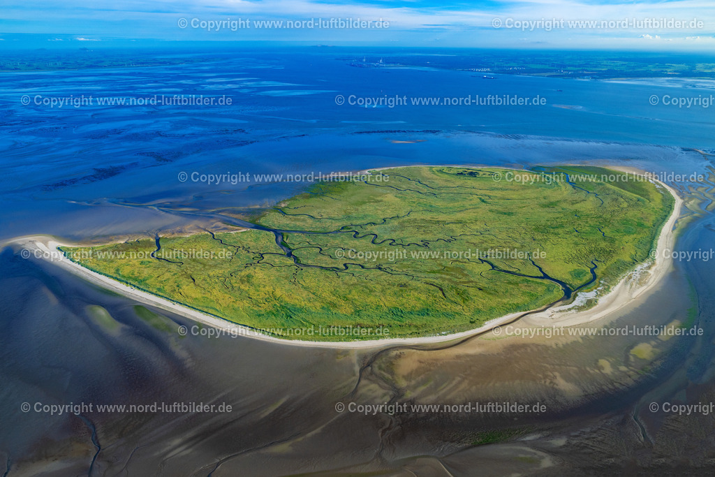 Mellum_ELS_9753160823 | BUTJADINGEN 16.08.2023 Küsten- Landschaft mit Salzwiesen auf der Insel Mellum in Butjadingen im Bundesland Niedersachsen, Deutschland. Weiterführende Informationen bei: Wangerland Touristik GmbH. // Coastal landscape with salt marshes on the island of Mellum in Butjadingen in the state Lower Saxony, Germany. Further information at: Wangerland Touristik GmbH. Foto: Martin Elsen