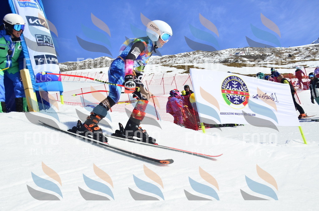 _ELE9755 | holidayphoto