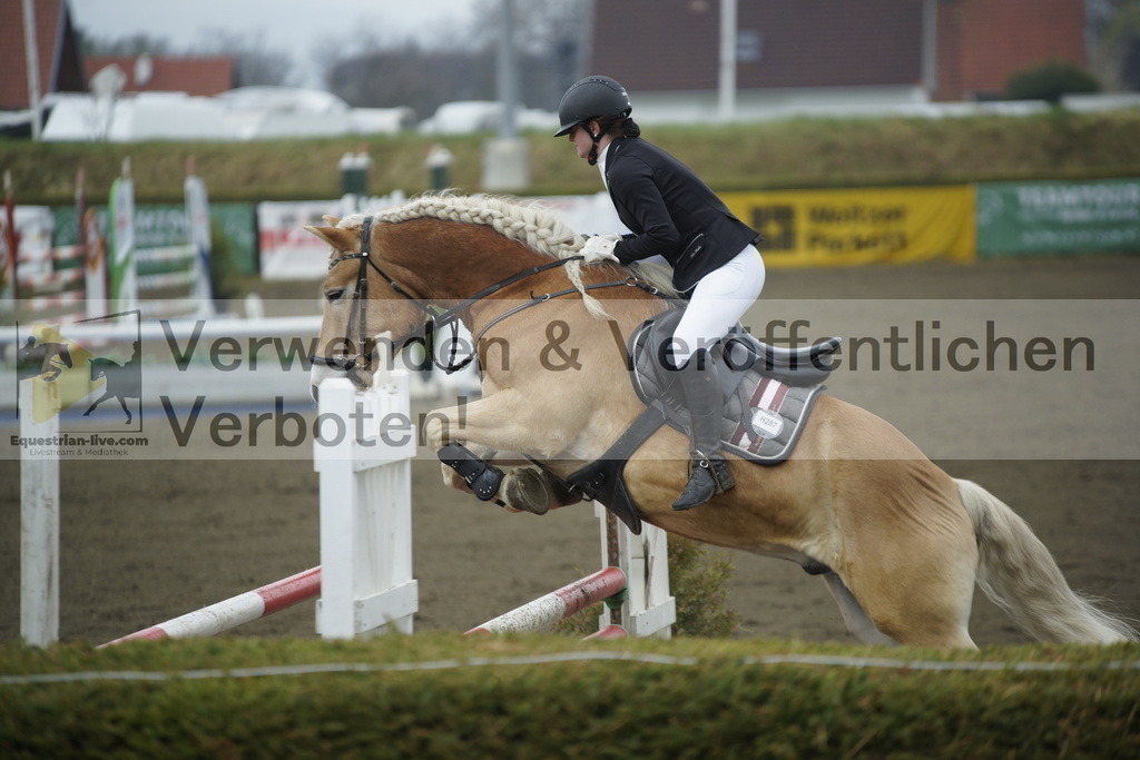 _DSC3768 | equestrian-live-com