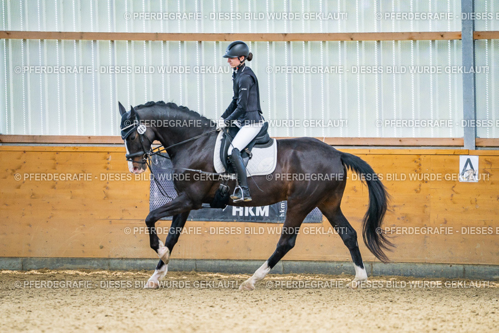 DSC04162 | Pferdegrafie