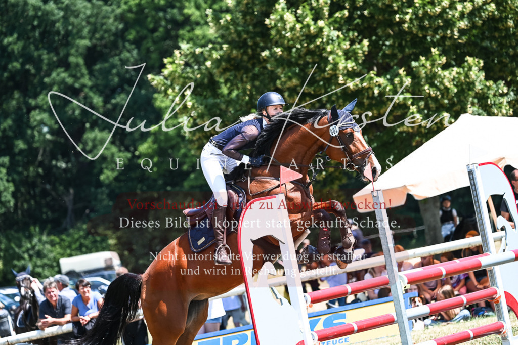 DSC_0181 | Pferde- und Turnierfotografie in Westsachsen. Pferdeportraits, Auftragszeichnungen und intuitive Kunst.